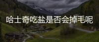 哈士奇吃鹽是否會掉毛呢(哈士奇吃鹽是否會掉毛快)