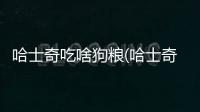 哈士奇吃啥狗糧(哈士奇吃了吐了怎么辦)