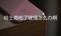 哈士奇吃了玻璃怎么辦啊？哈士奇吃了紙巾怎么辦
