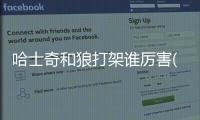 哈士奇和狼打架誰厲害(哈士奇為什么不敢打架)