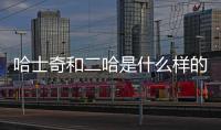 哈士奇和二哈是什么樣的狗？哈士奇和二哈是什么樣的關(guān)系