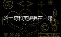 哈士奇和英短養在一起，哈士奇和什么貓一起養最好