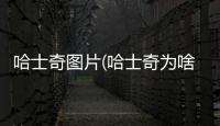 哈士奇圖片(哈士奇為啥叫二哈)