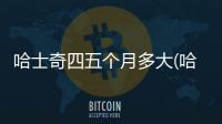 哈士奇四五個月多大(哈士奇快死癥狀)