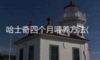 哈士奇四個(gè)月喂養(yǎng)方法(哈士奇四個(gè)月能長多大)