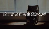 哈士奇親貓頭鷹會怎么樣？貓頭鷹 哈士奇