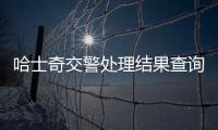 哈士奇交警處理結果查詢(哈士奇交警處理結果怎么樣)