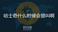 哈士奇什么時(shí)候會(huì)狼叫啊？哈士奇什么時(shí)候會(huì)狼嚎