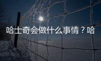 哈士奇會做什么事情？哈士奇會干什么