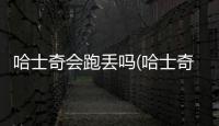 哈士奇會(huì)跑丟嗎(哈士奇一口氣能跑幾公里)