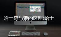 哈士奇與狼的區(qū)別(哈士奇與狼的區(qū)別體現(xiàn)在哪些方面)
