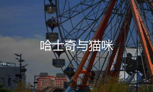 哈士奇與貓咪