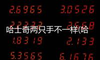 哈士奇兩只手不一樣(哈士奇兩只手一樣大嗎)