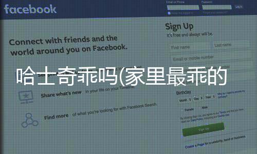 哈士奇乖嗎(家里最乖的是哈士奇)