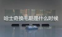 哈士奇換毛期是什么時(shí)候(哈士奇換毛期可以剃毛嗎)
