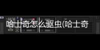 哈士奇怎么驅蟲(哈士奇體內驅蟲)