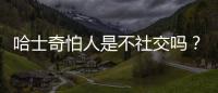 哈士奇怕人是不社交嗎？哈士奇害怕主人的表現