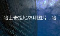 哈士奇投地求拜圖片，哈士奇求偶