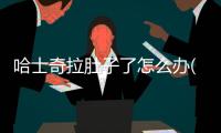 哈士奇拉肚子了怎么辦(哈士奇拉肚子怎么回事)