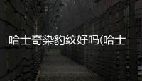 哈士奇染豹紋好嗎(哈士奇染豹紋好看嗎)