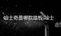哈士奇是哪款踏板(哈士奇狗肉車)
