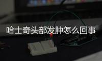 哈士奇頭部發(fā)腫怎么回事？哈士奇頭部發(fā)腫怎么辦