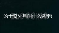 哈士奇外號叫什么名字(哈士奇外號叫什么好聽)