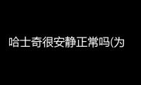 哈士奇很安靜正常嗎(為什么哈士奇喜歡拆家)