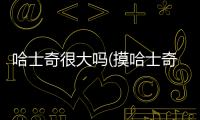 哈士奇很大嗎(摸哈士奇的頭)