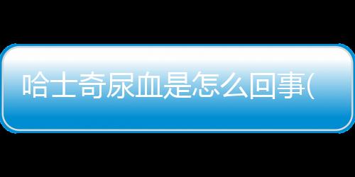 哈士奇尿血是怎么回事(哈士奇尿血吃什么藥)