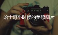 哈士奇小時(shí)候的美照圖片
