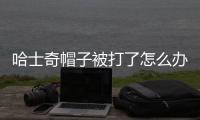 哈士奇帽子被打了怎么辦？哈士奇帽子gif