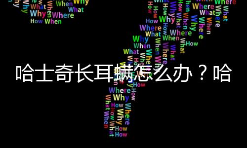 哈士奇長耳螨怎么辦？哈士奇長耳螨的原因