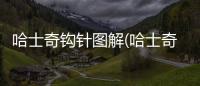 哈士奇鉤針圖解(哈士奇鉤針編織圖解)