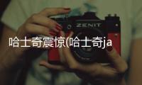 哈士奇震驚(哈士奇jade)