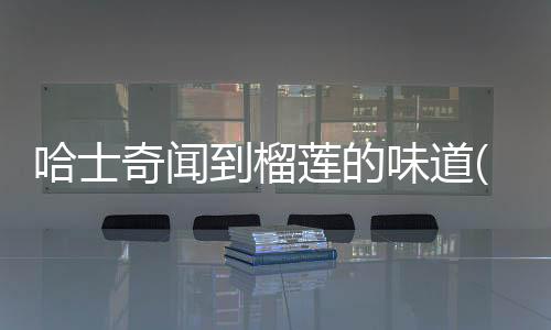 哈士奇聞到榴蓮的味道(哈士奇吃榴蓮)