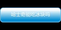 哈士奇能吃冰塊嗎