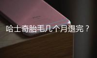 哈士奇胎毛幾個月退完？哈士奇胎毛是什么樣的
