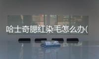 哈士奇腮紅染毛怎么辦(哈士奇毛褪色)