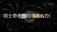 哈士奇老是咬雞怎么辦(哈士奇總是咬人怎么辦)