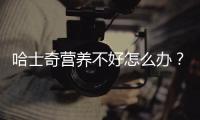 哈士奇營養不好怎么辦？哈士奇營養不良怎么辦