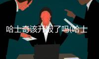 哈士奇該開飯了嗎(哈士奇飯前遛還是飯后)