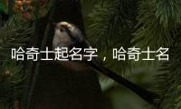 哈奇士起名字，哈奇士名字大全霸氣洋氣公的