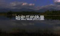 哈密瓜的熱量