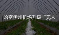 哈密伊州機場升級“無人陪”兒童服務內容，讓家長更放心
