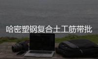 哈密塑鋼復合土工筋帶批發(fā)價格