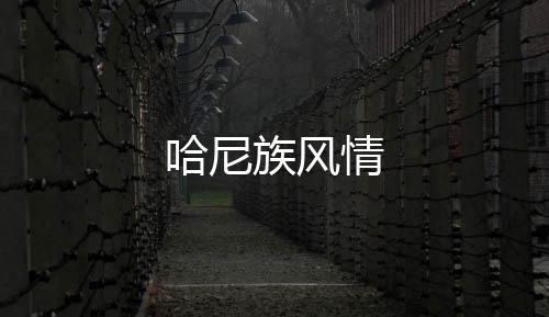 哈尼族風情
