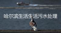 哈爾濱生活生活污水處理設備
