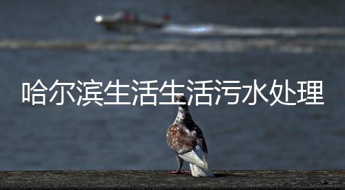 哈爾濱生活生活污水處理設備