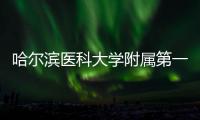 哈爾濱醫科大學附屬第一醫院眼科白內障超乳儀中標結果公告